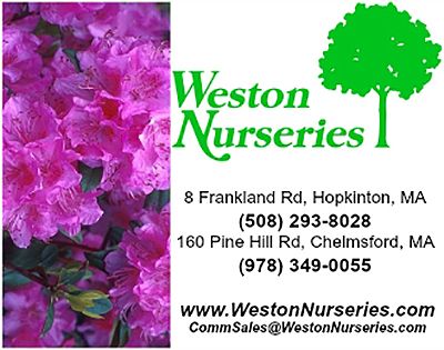Weston Nurseries located in Hopkinton and Chelmsford Massachusetts