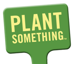 Plant Something Massachusetts