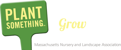 Plant Something—Grow Massachusetts!