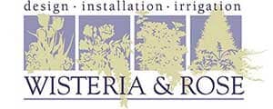 Wisteria & Rose logo