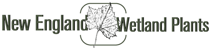 New England Wetland Plants logo