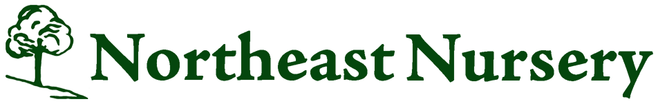 Northeast Nursery logo