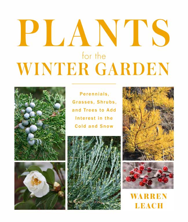 plants for the winter garden by warren leach