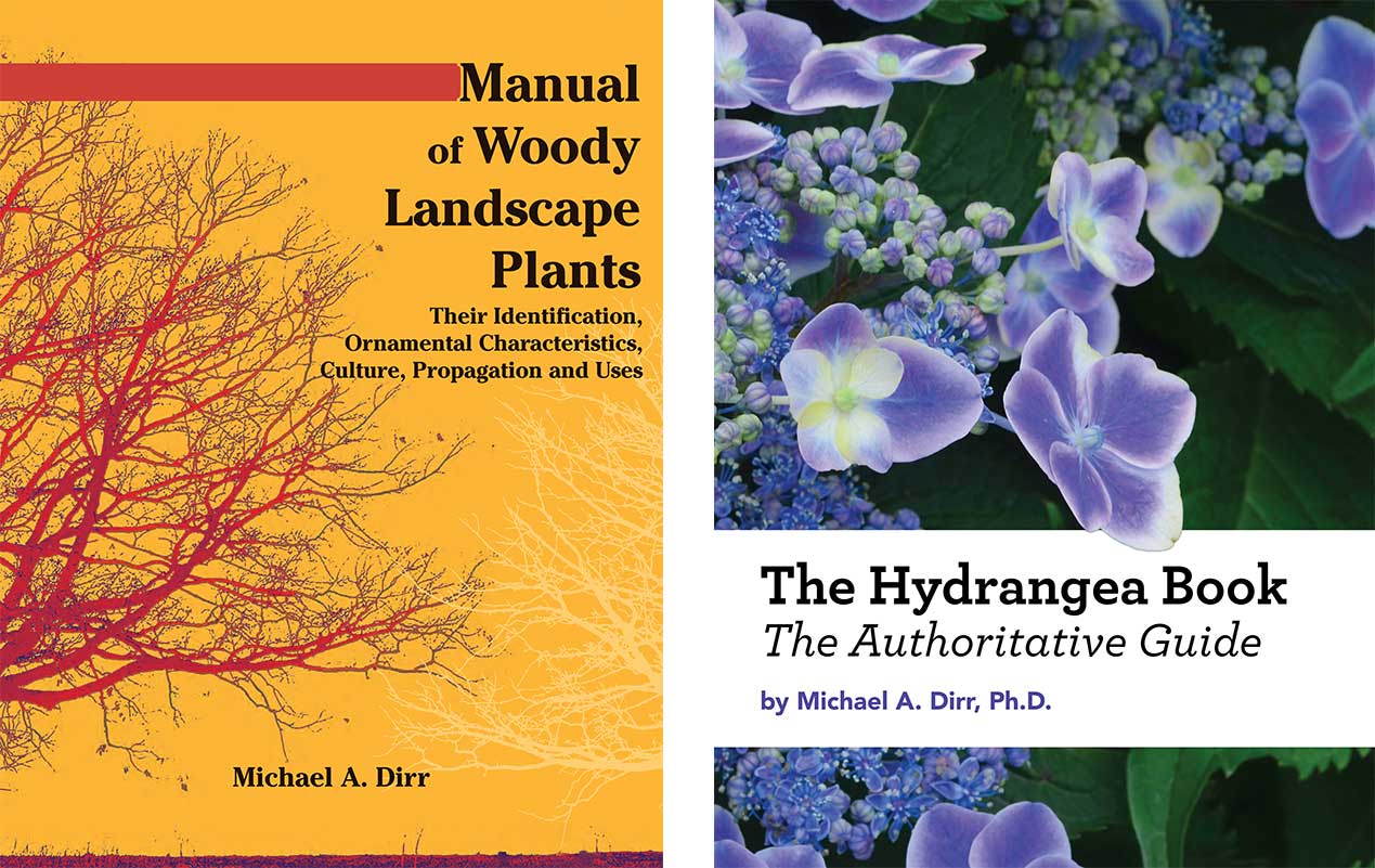 book covers by michael dirr