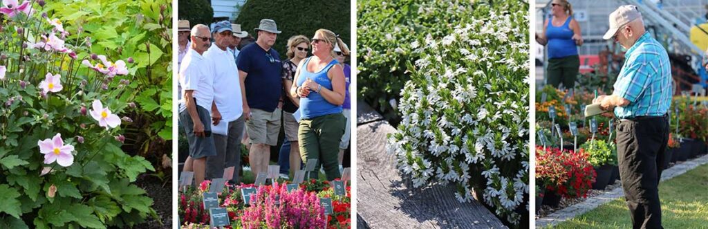 Cavicchio Trial Garden Tour pictures from past events
