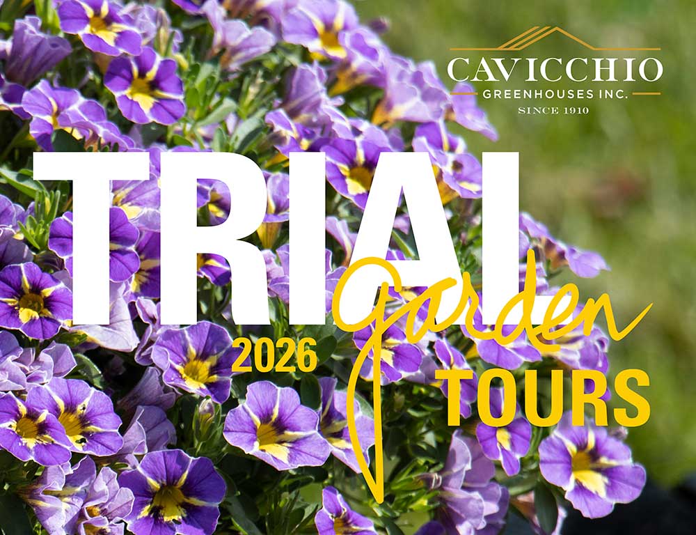 Cavicchio Trial Garden Tour
