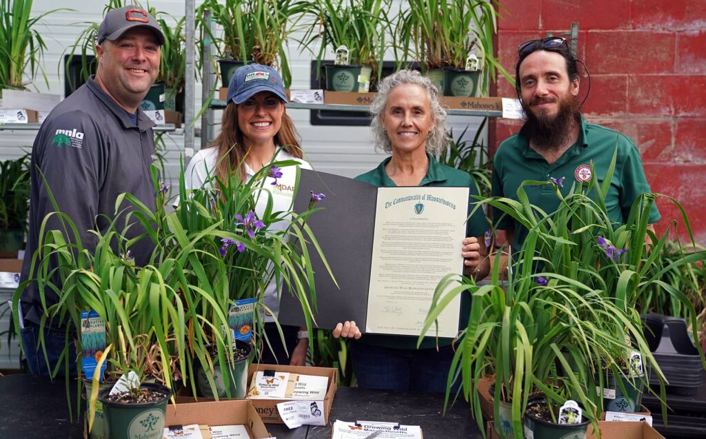Growing Wild campaign with volunteers from MNLA, MDAR and DCR