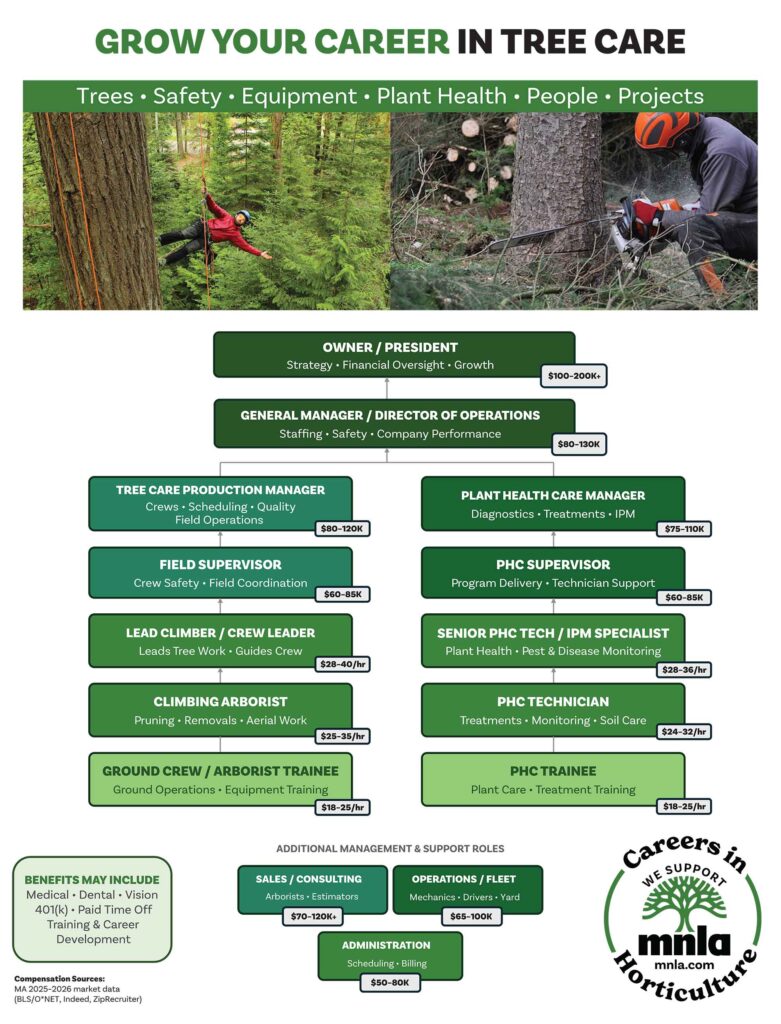 green industry career opportunities in tree care